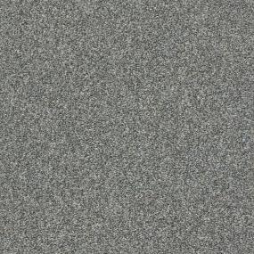 Texture Indiscreet Gray Carpet