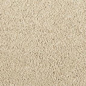 Textured Saxony Boulder Beige Beige/Tan Carpet