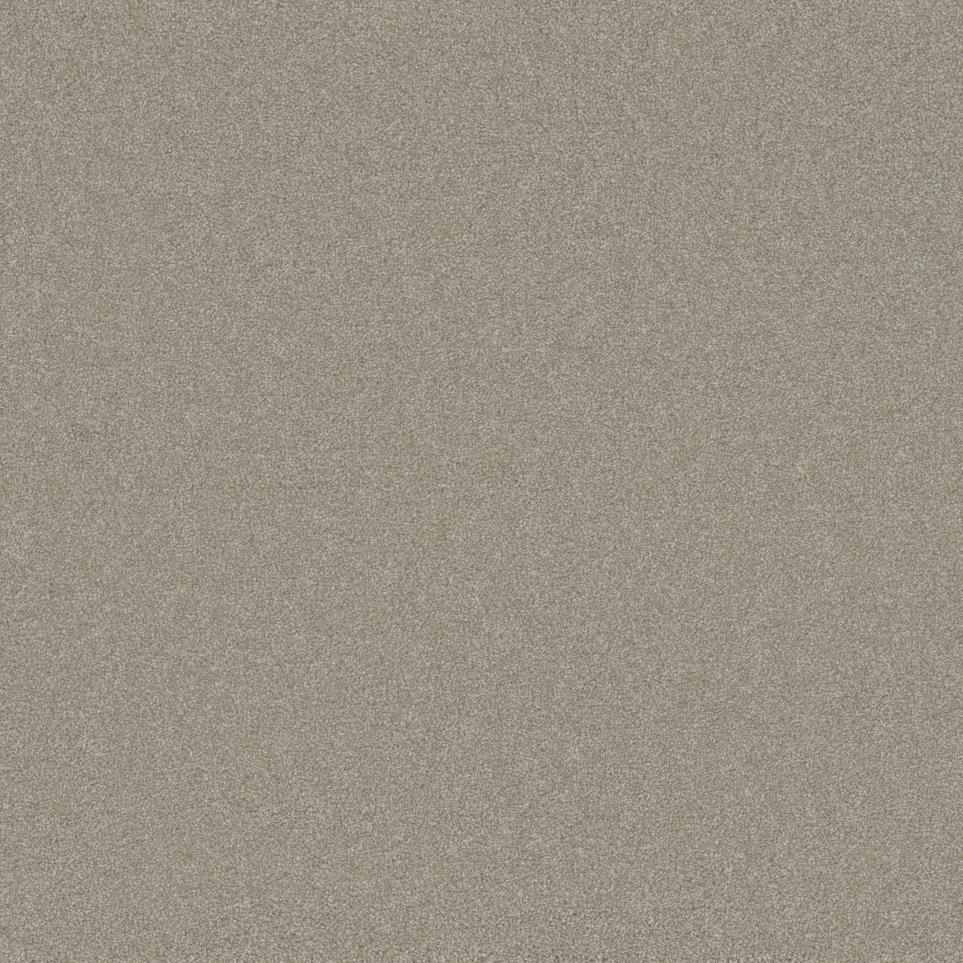 Textured Saxony Walking Trail Beige/Tan Carpet