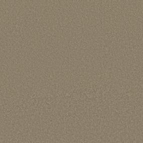 Plush Saxony Champagne Toast Beige/Tan Carpet