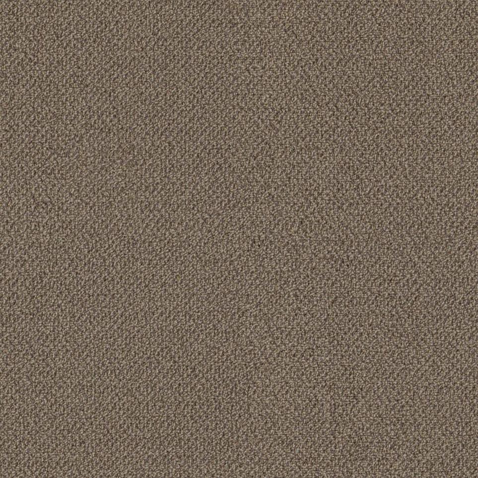 Loop Mixing Brown Carpet