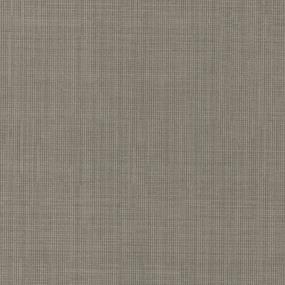 Berber Pumice Beige/Tan Carpet