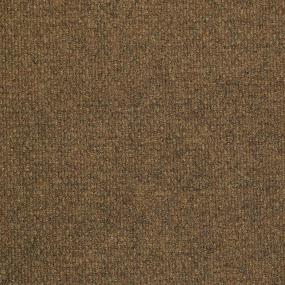 Specialty Copper Mountain Beige/Tan Carpet Tile