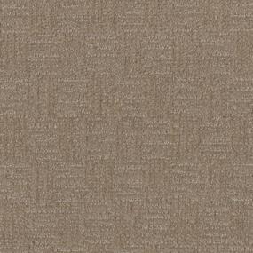 Pattern Encore Brown Carpet