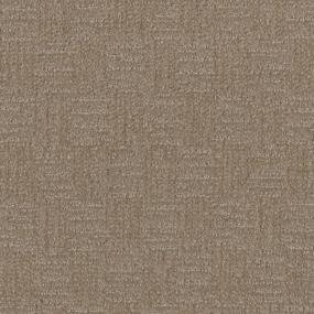 Pattern Encore Brown Carpet