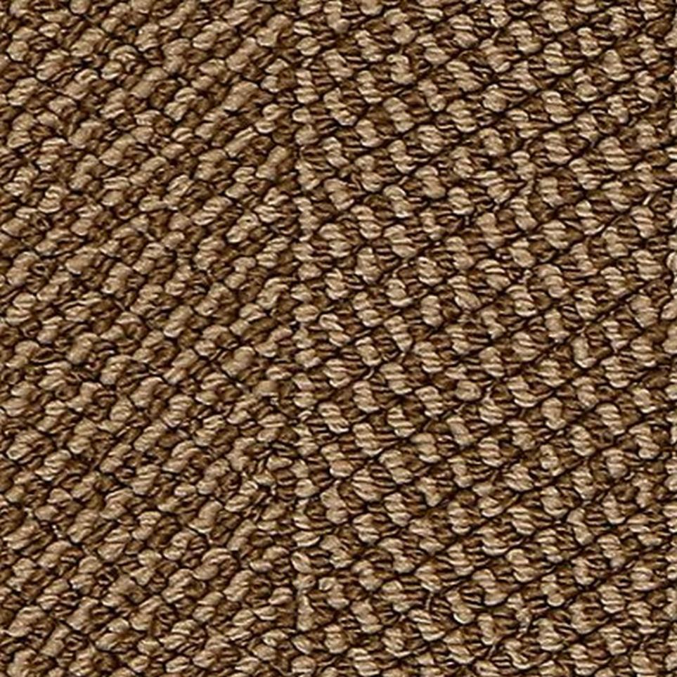 Loop Birch Beige/Tan Carpet