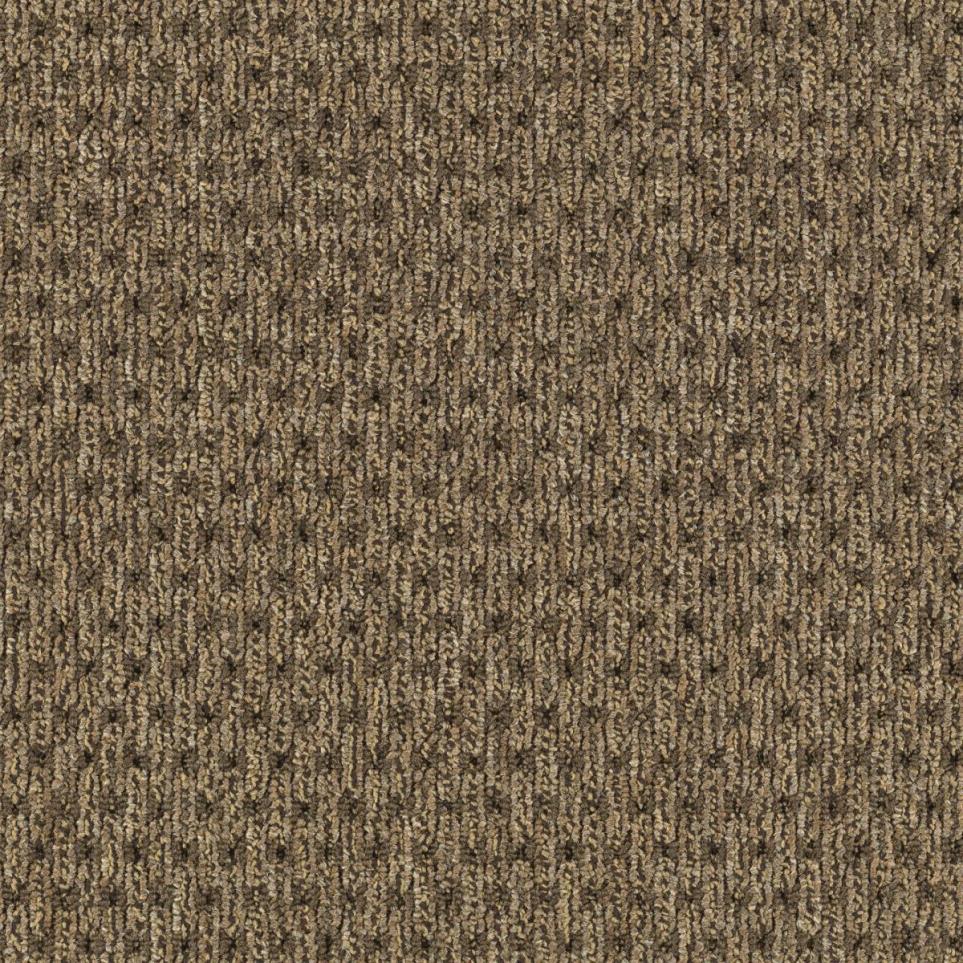 Pattern Roasted Curry Beige/Tan Carpet