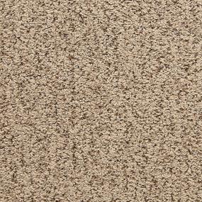 Loop Driftwood Brown Carpet