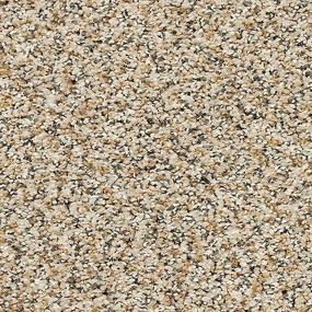 Pattern Sonora Beige/Tan Carpet