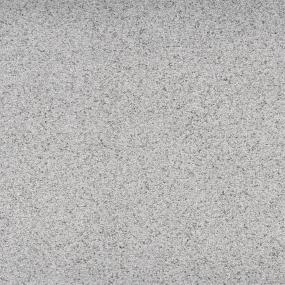 Textured Saxony Posh Gray Carpet