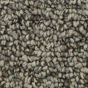 Pattern Basin Head Gray Carpet