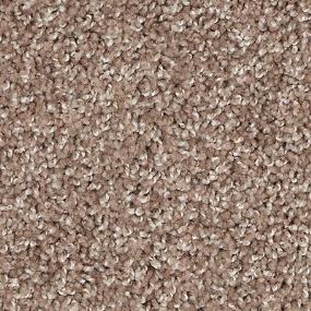 Texture Russet Beige/Tan Carpet