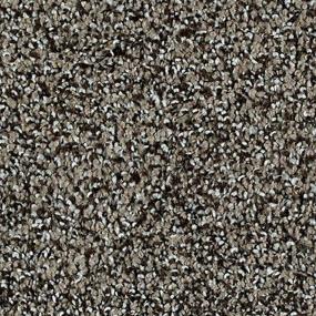 Textured Saxony Crossroads Brown Carpet