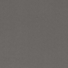 Pattern Tradewinds Gray Carpet