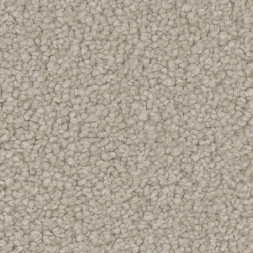 Textured Saxony Sway Beige/Tan Carpet