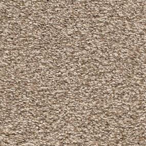 Textured Saxony Pristine Brown Carpet