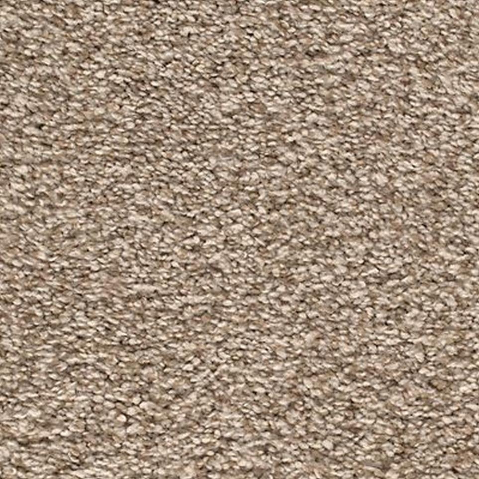 Textured Saxony Pristine Brown Carpet
