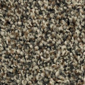 Textured Saxony Frontier Brown Carpet