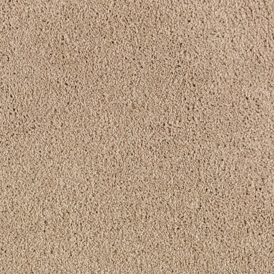 Texture Interest Beige/Tan Carpet
