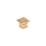 Aurum Brushed Gold