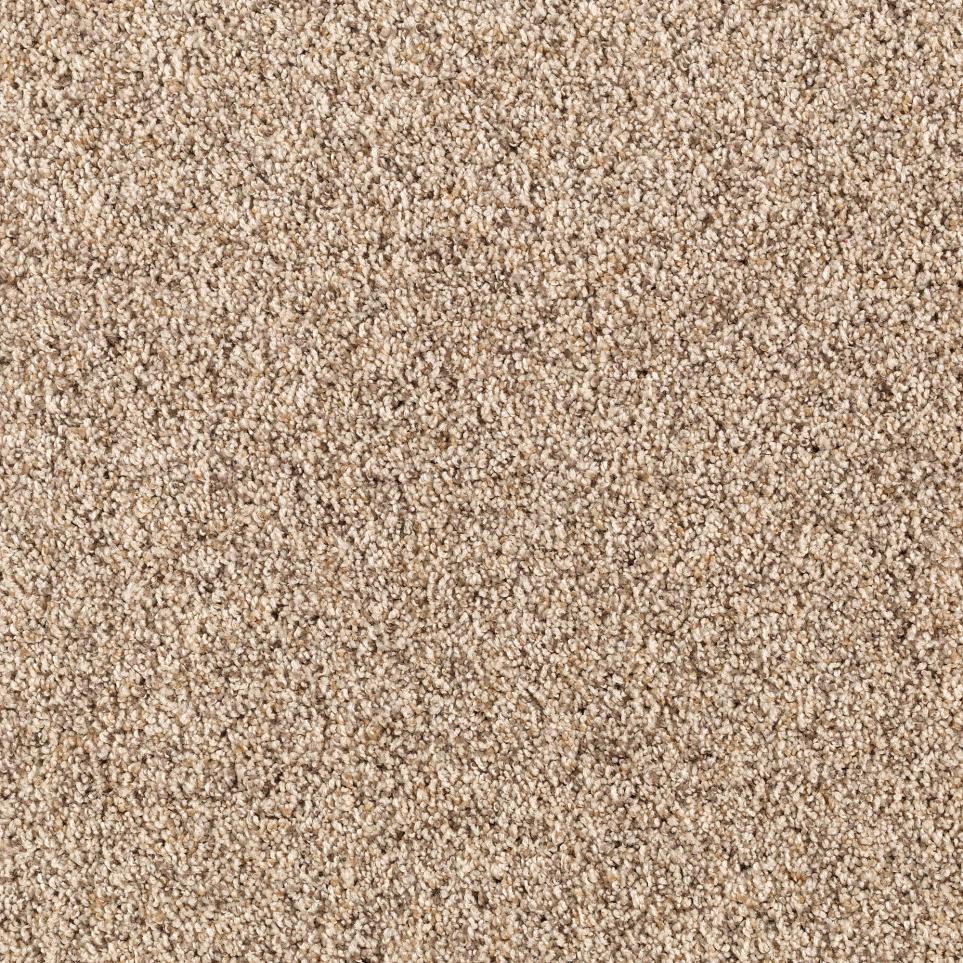 Texture Expedition Beige/Tan Carpet