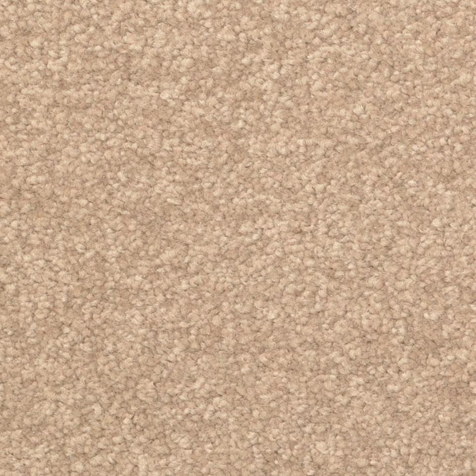 Texture Grounded  Carpet