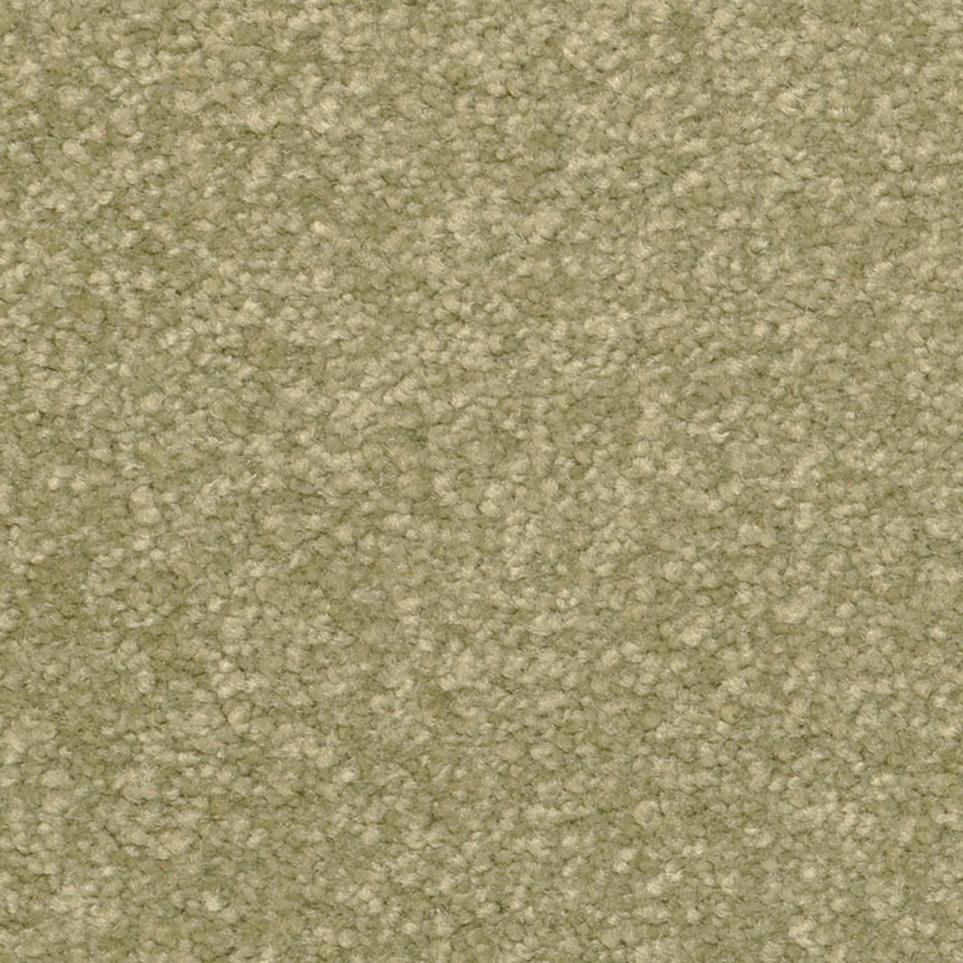 Texture Clove Green Carpet