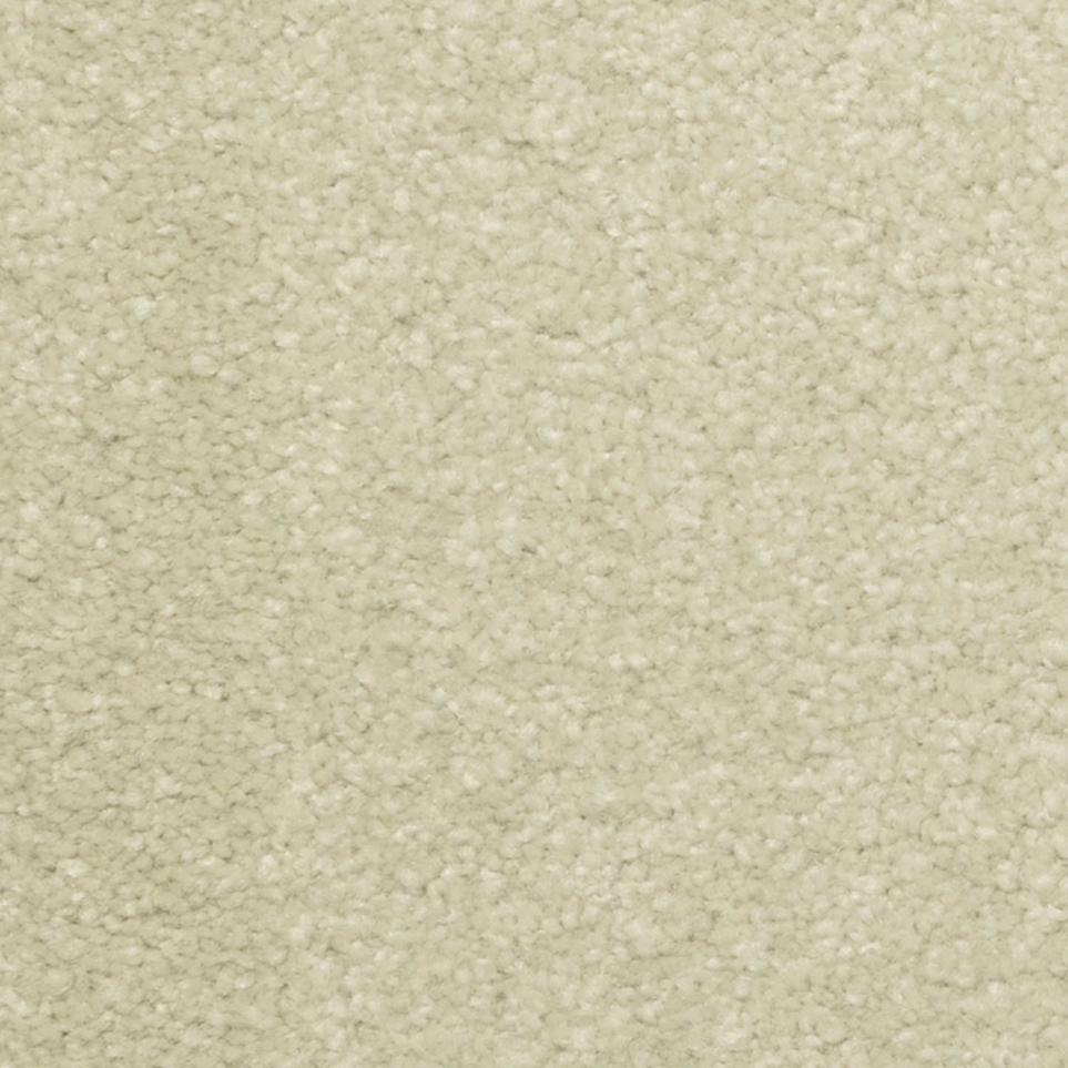 Texture Saxon  Carpet