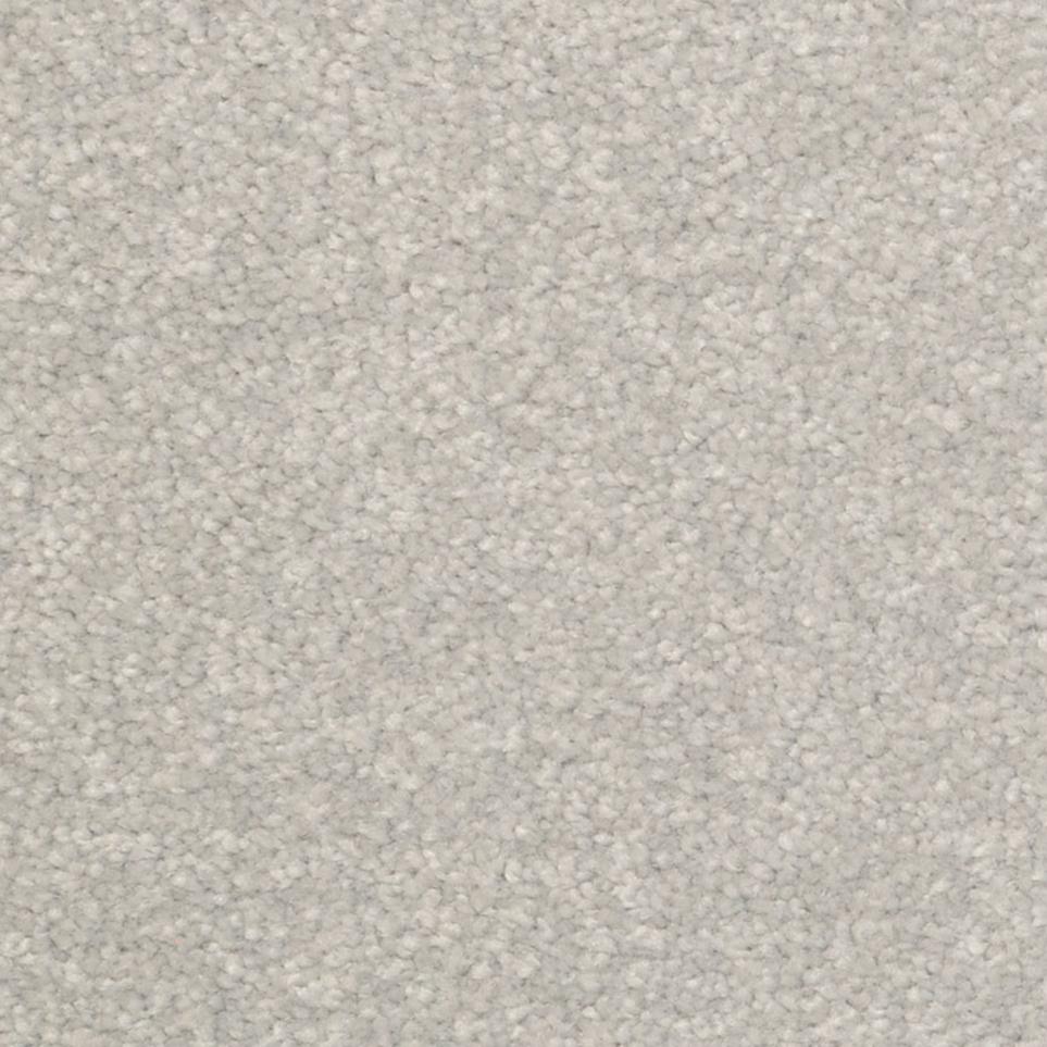 Texture Front Poarch Gray Carpet