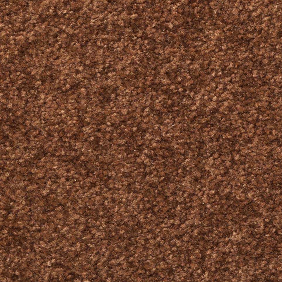 Texture Chocolate Chip Brown Carpet