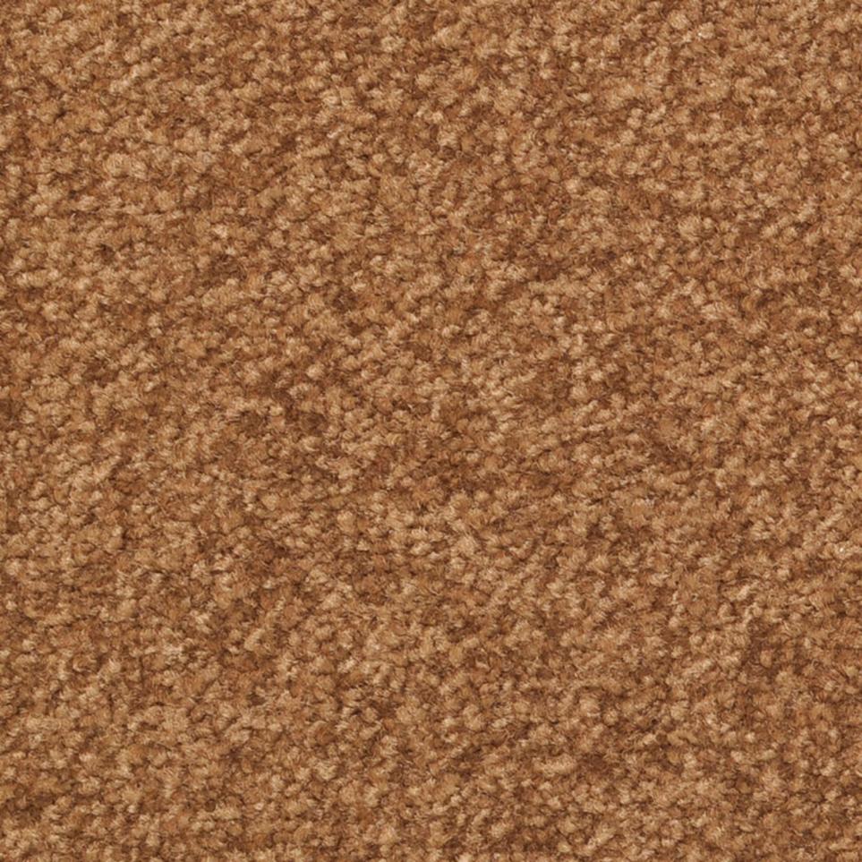 Texture Pelt  Carpet
