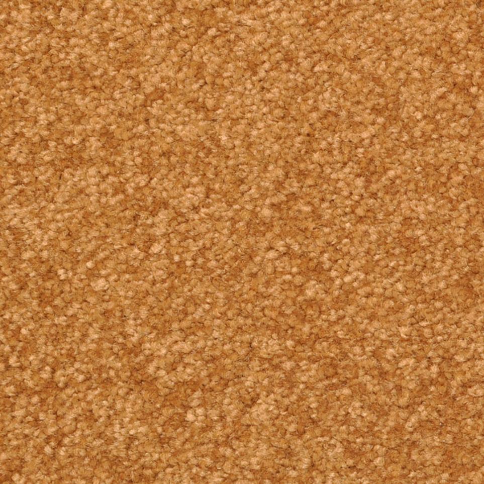 Texture Rustic Orange Carpet