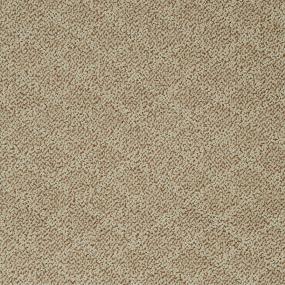 Pattern Enduring Brown Carpet