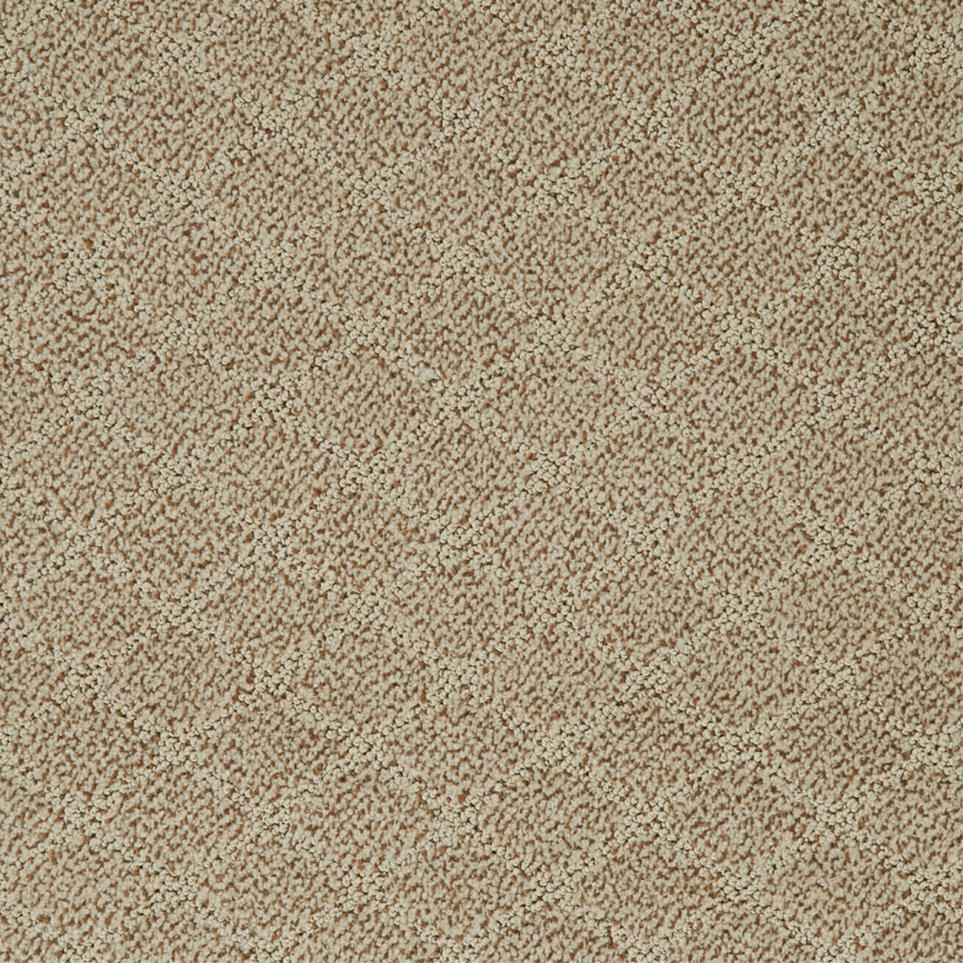 Pattern Enduring Brown Carpet
