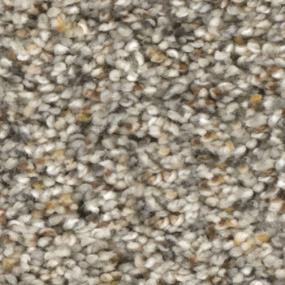 Textured Saxony Success Story Beige/Tan Carpet