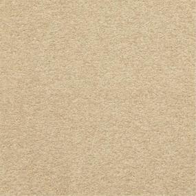 Casual Texture Chalet Beige/Tan Carpet