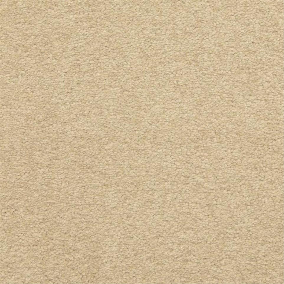Casual Texture Chalet Beige/Tan Carpet
