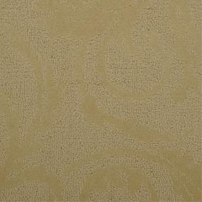 Pattern Esprit Beige/Tan Carpet