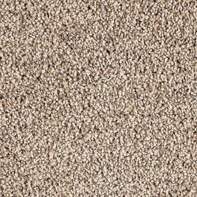 Textured Saxony Enigma Beige/Tan Carpet