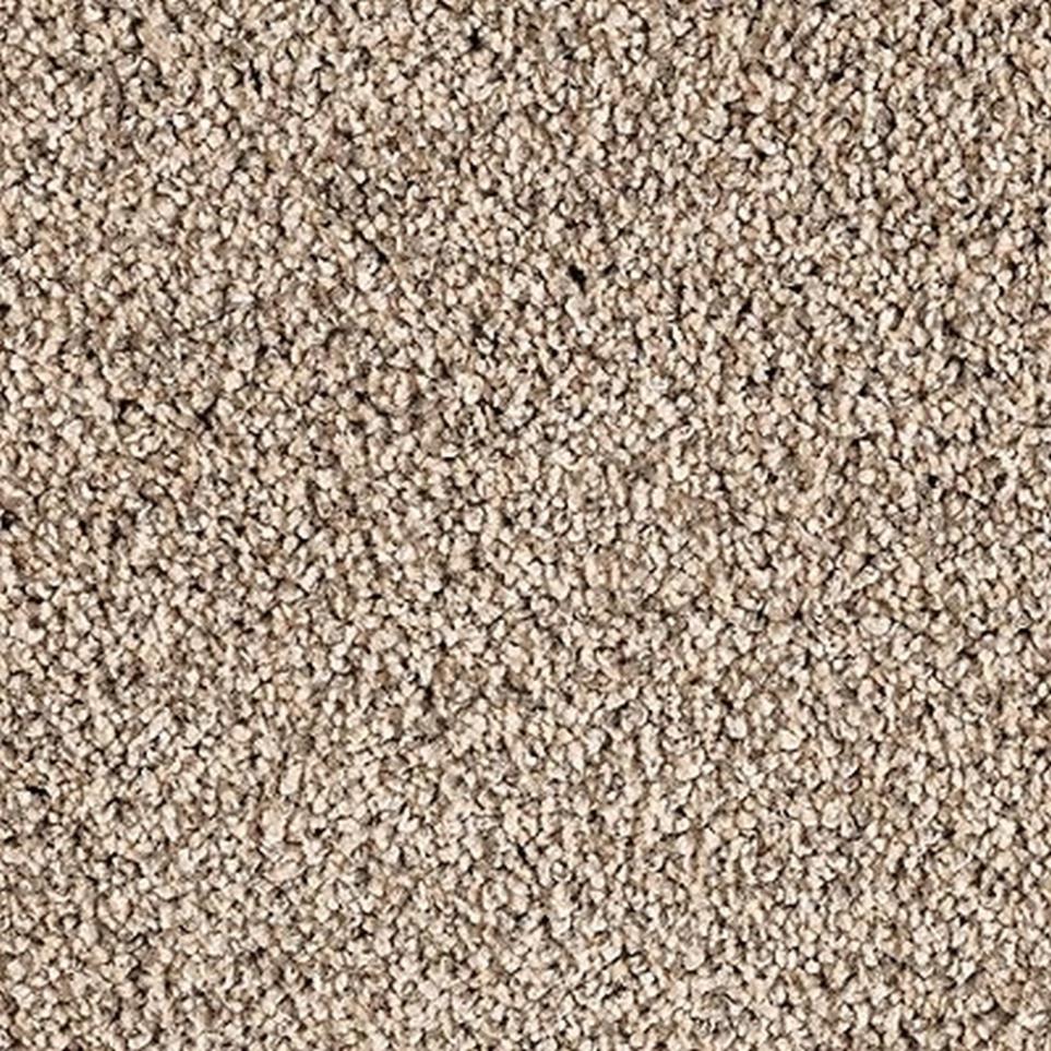 Textured Saxony Enigma Beige/Tan Carpet
