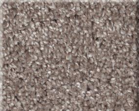 Cut Pile Rolling Pebble Gray Carpet