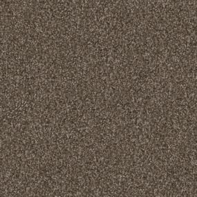 Textured Saxony Tarnished Brown Carpet