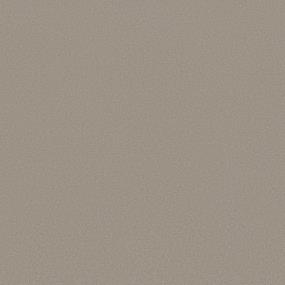 Textured Saxony Often Beige/Tan Carpet