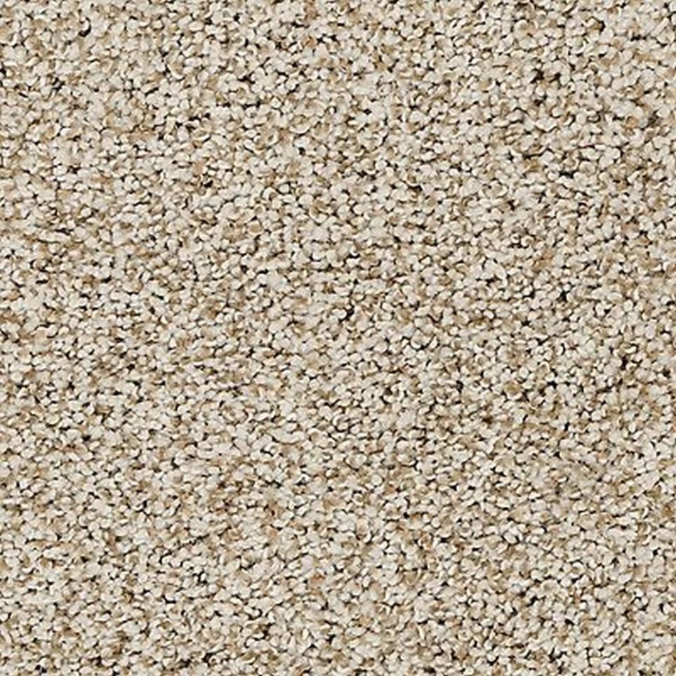 Textured Saxony Renoir Bisque Beige/Tan Carpet