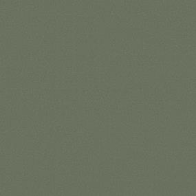 Texture Cactus Green Carpet