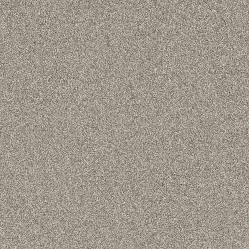 Texture Reliant Brown Carpet
