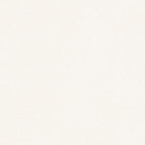 Textured Saxony Classic Beige/Tan Carpet