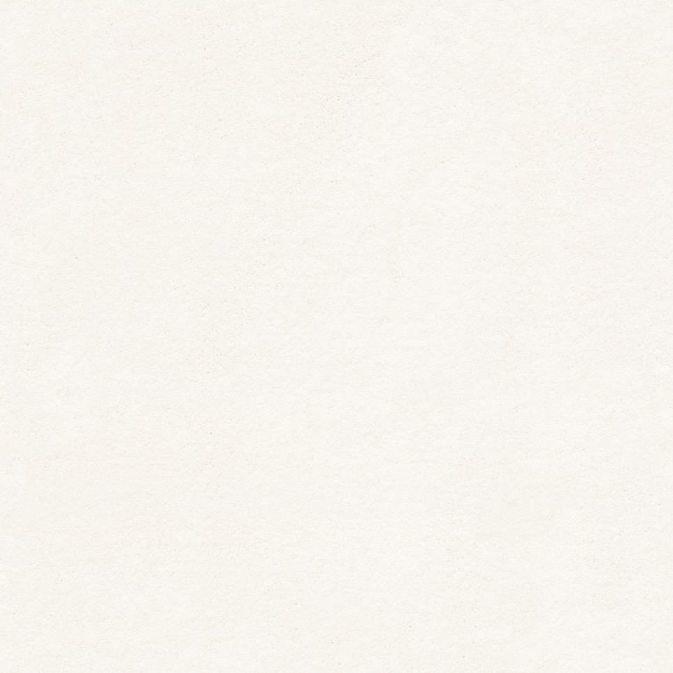 Textured Saxony Classic Beige/Tan Carpet