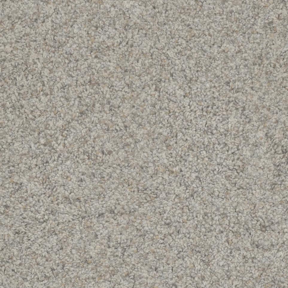 Texture Community Beige/Tan Carpet