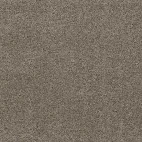 Textured Saxony Integrity Beige/Tan Carpet